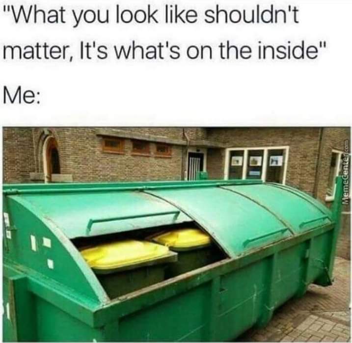 "What you look like shouldn't matter, it's what's on the inside"
Me: