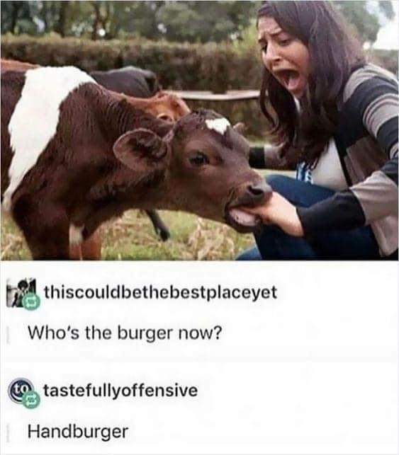 Who's the burger now
Handburger