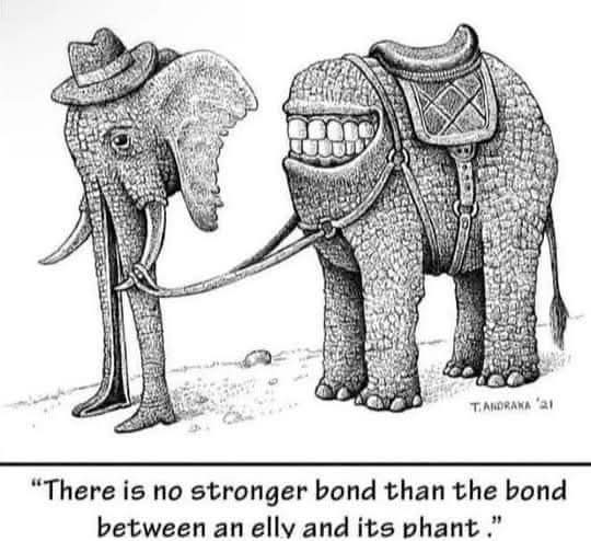 There is no stronger bond than the bond between an elly and its phant.