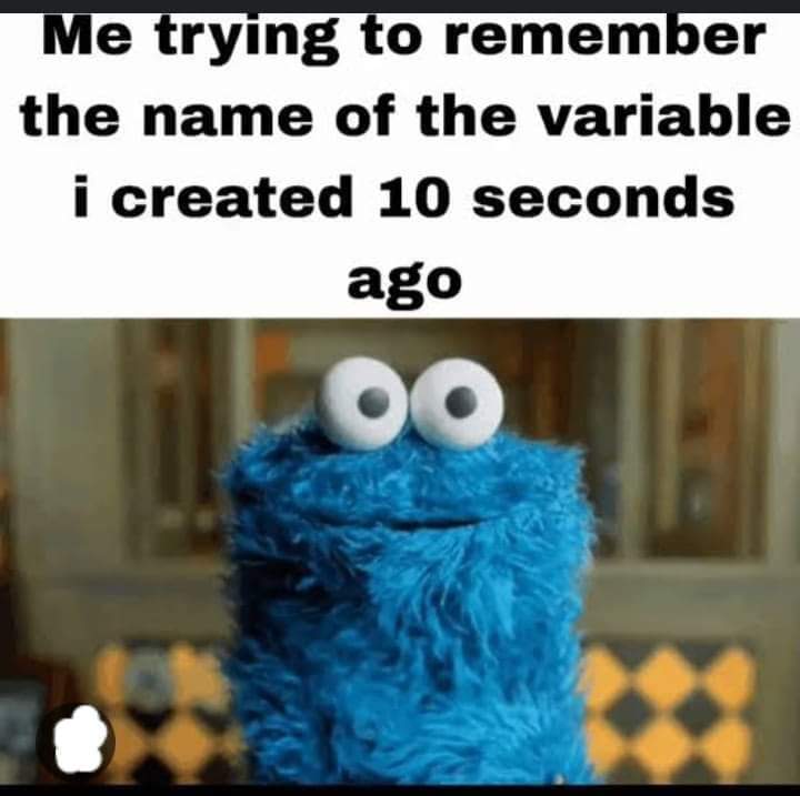 Me trying to remember the name of the variable I created 10 seconds ago.