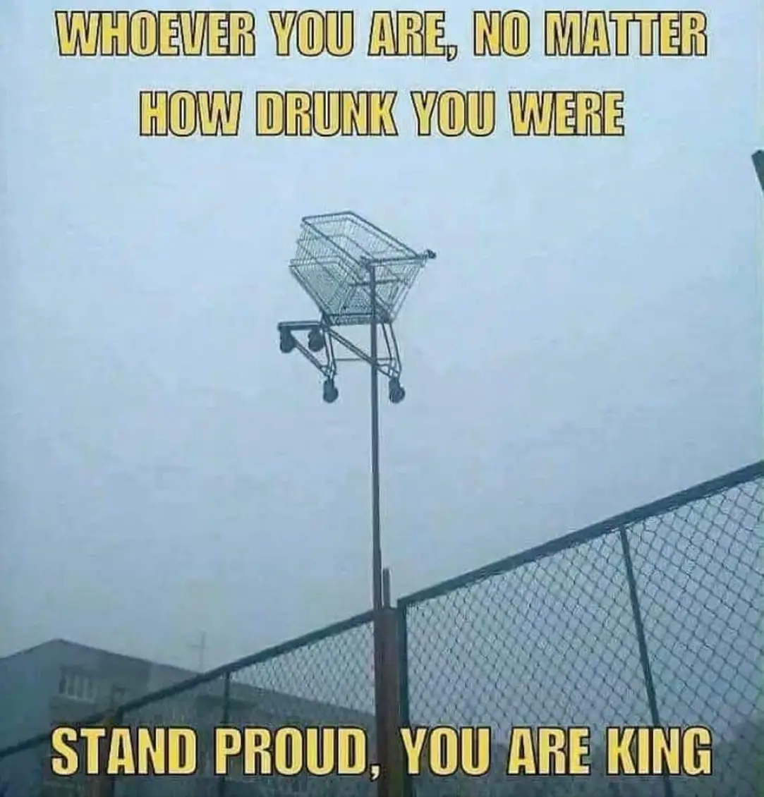 Whoever you are, no matter how drunk you were
Stand proud, you are king