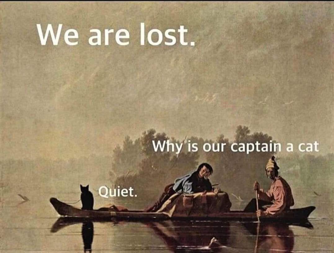 We are lost.
Why is out captain a cat
Quiet.

