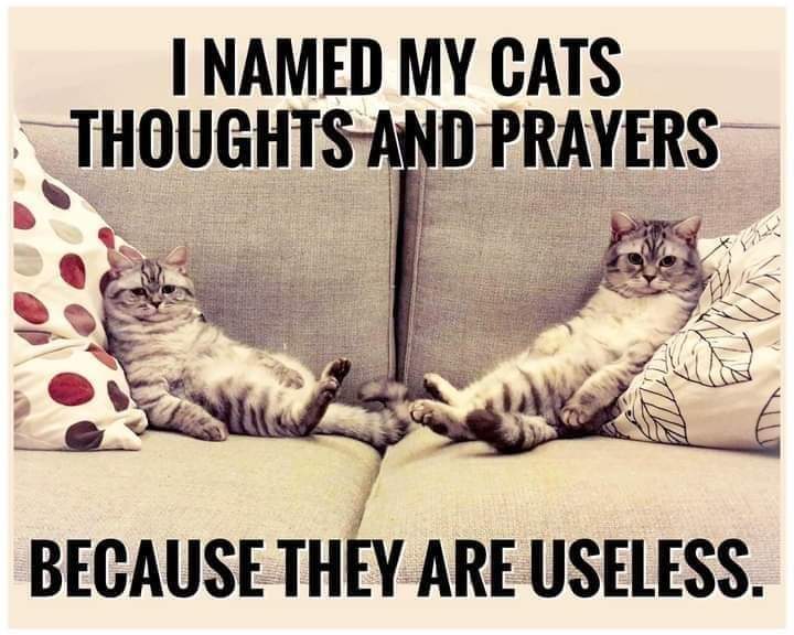 I names my cats Thoughts and Payers
Because they are useless.