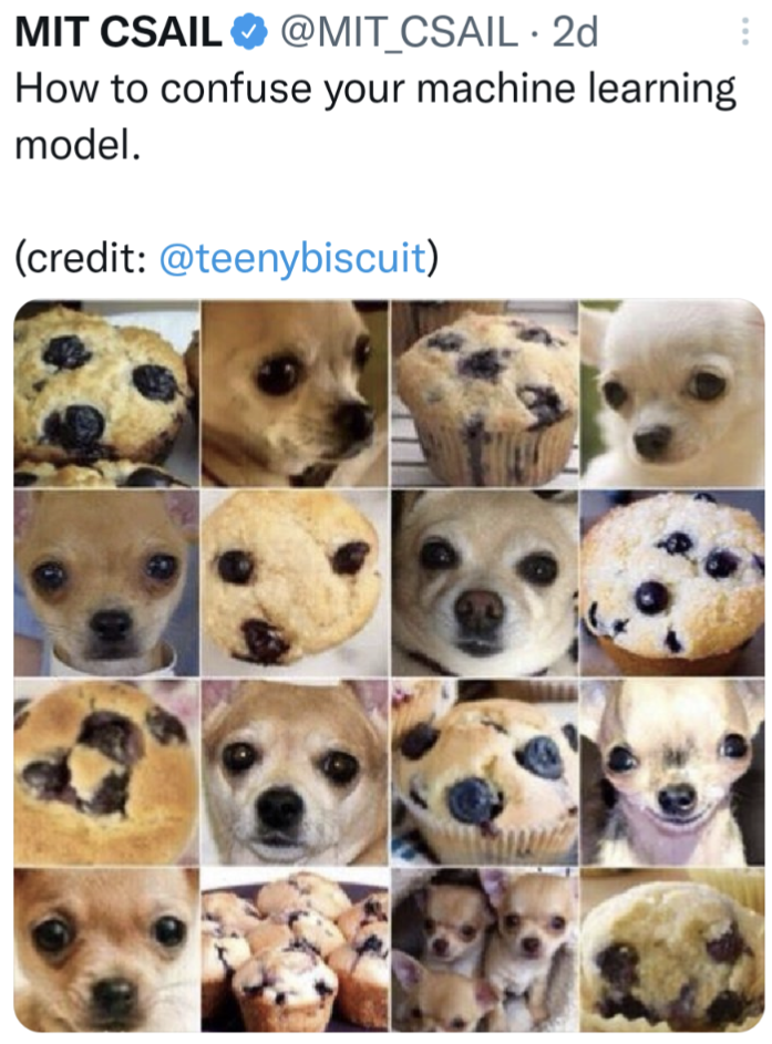 How to confuse your machine learning model