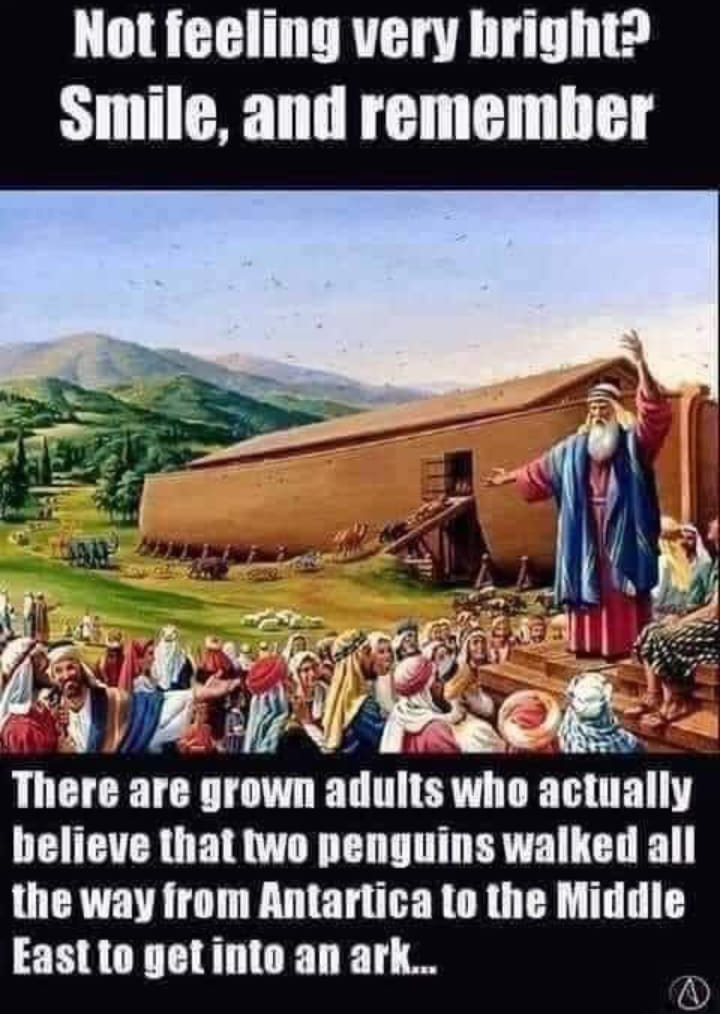 Not feeling very bright?
Smile, and remember there are grown adults who actually believe that two penguins walked all the way from Antarctica to the Middle East to get into an ark...