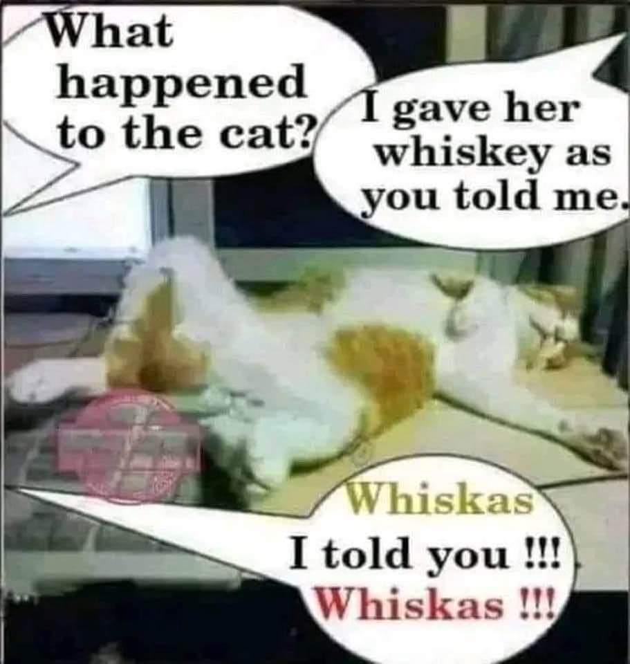 What happened to the cat
I gave her whiskey as you told me.
Whiskas I told you!!!
Whiskas!!!