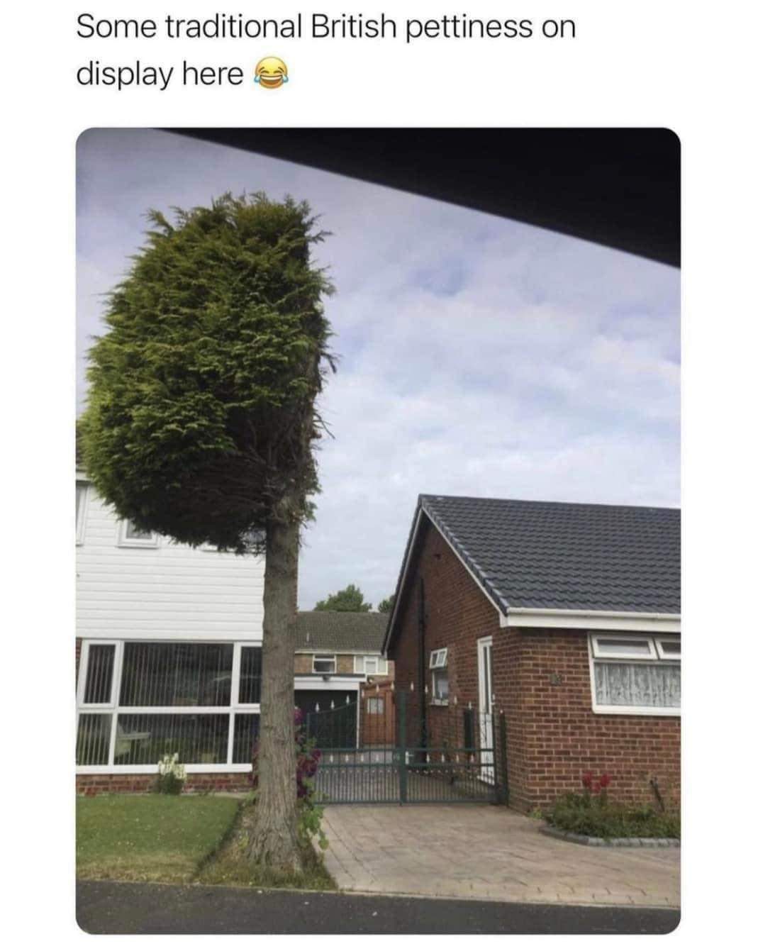 Some traditional British pettiness on display here