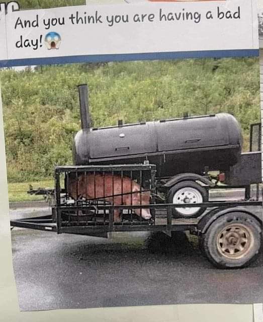 And you think you are having a bad day!