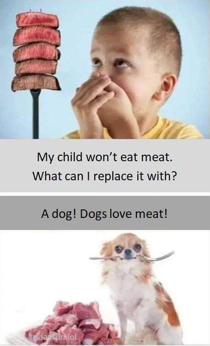 My child won't eat meat.
What can I replace it with?
A dog! Dogs love meat!