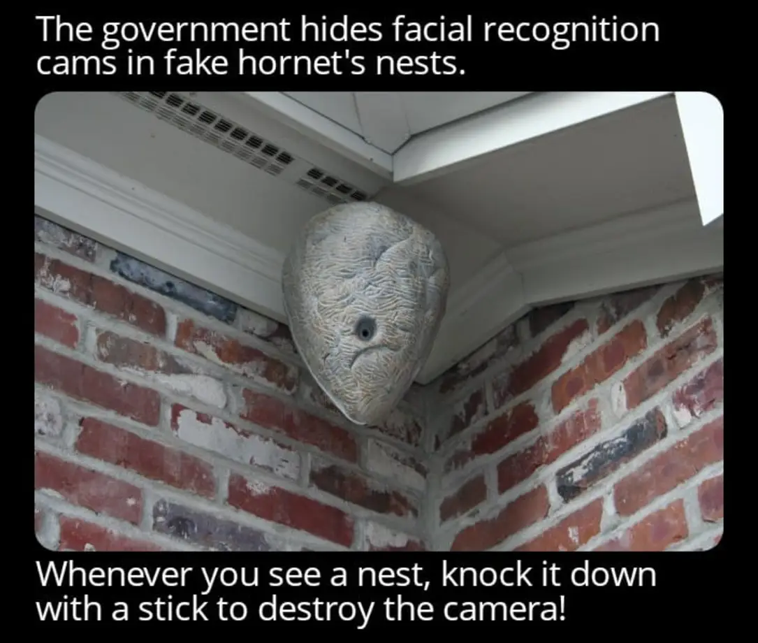 The government hides facial recognition cameras in fake hornet's nests.
Whenever you see a nest, knock it down with a stick to destroy the camera!
