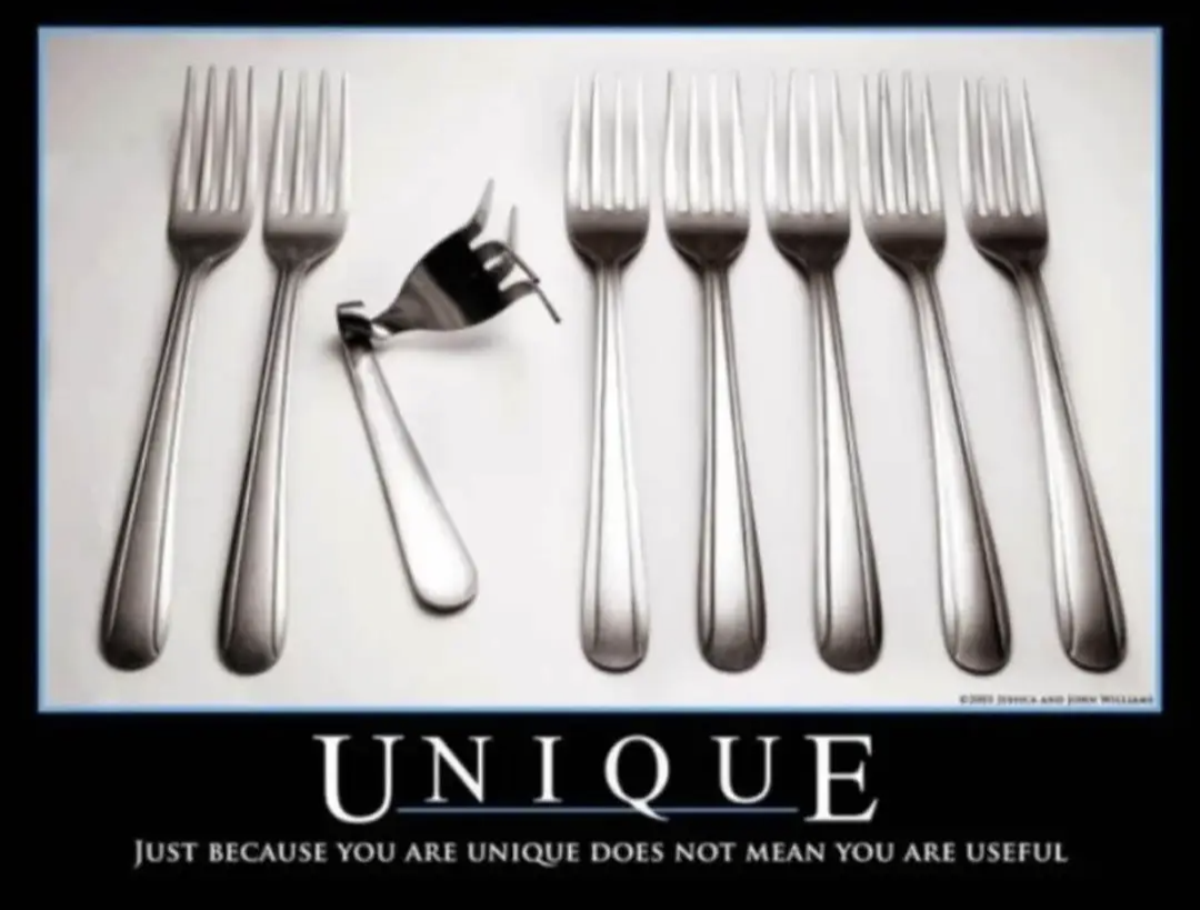 Unique: Just because you are unique does not mean that you are useful.