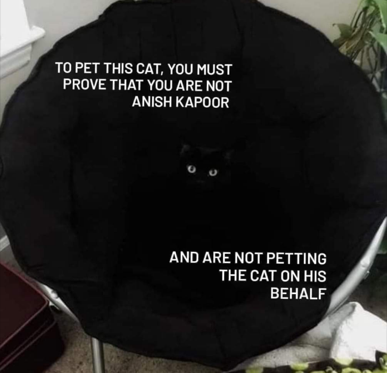 To pet this cat, you must prove that you are not Anish Kapoor, and are not petting the cat on his behalf