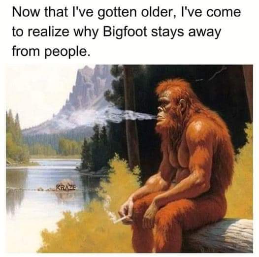 Now that live gotten older, I've come to realize why Bigfoot stays away from people.
