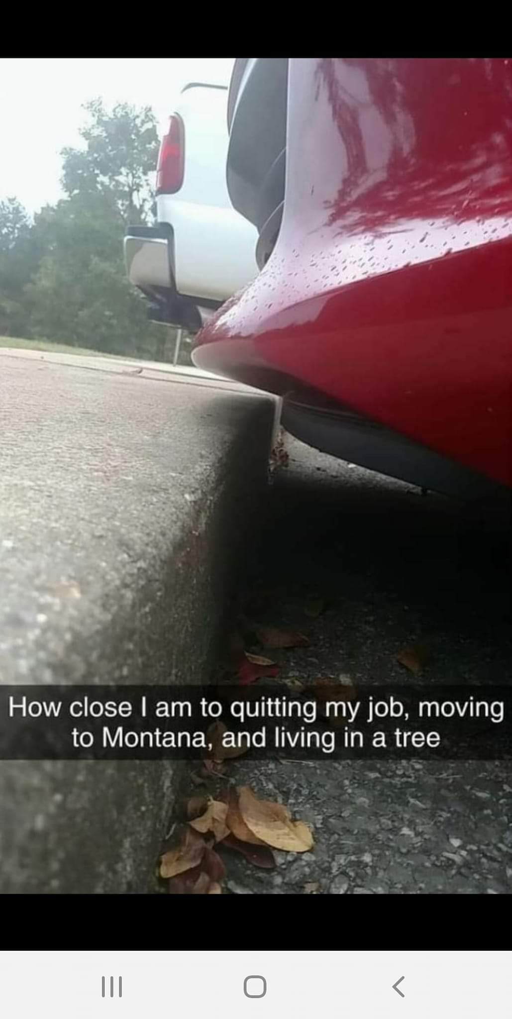 How close I am to quitting my job, moving to Montana and living in a tree.