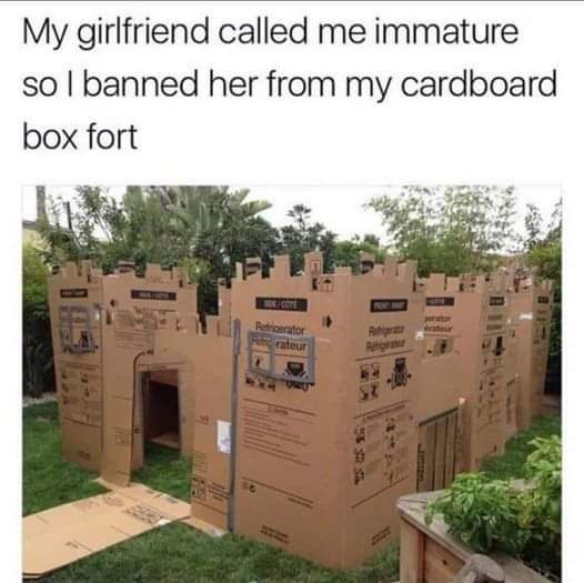 My girlfriend called me immature so I banned her from my cardboard box fort