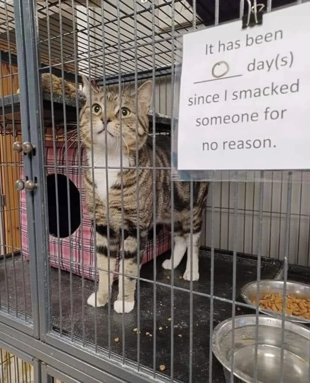 It has been 0 day(s) since I smacked someone for no reason.  