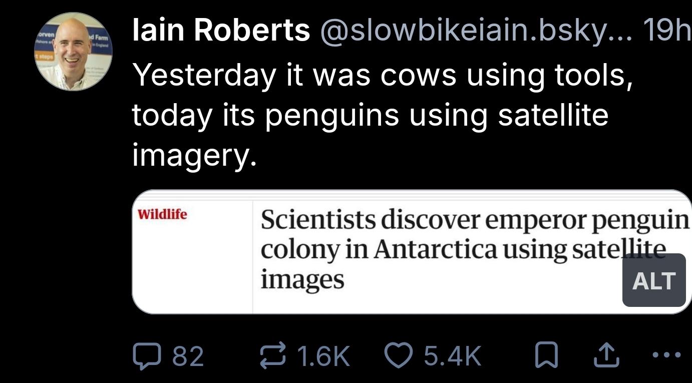 Iain Roberts @slowbikeiain.bsky... 19h  
Yesterday it was cows using tools, today its penguins using satellite imagery.  

Wildlife  
Scientists discover emperor penguin colony in Antarctica using satellite images  
