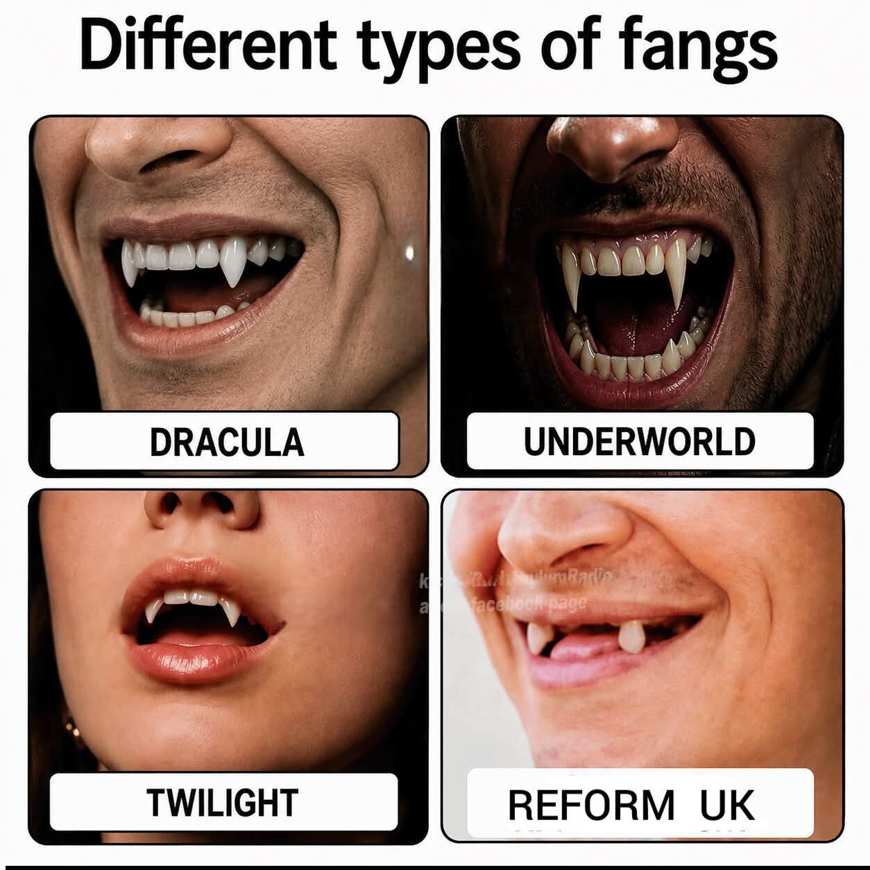 Different types of fangs  
DRACULA  
TWILIGHT
REFORM UK