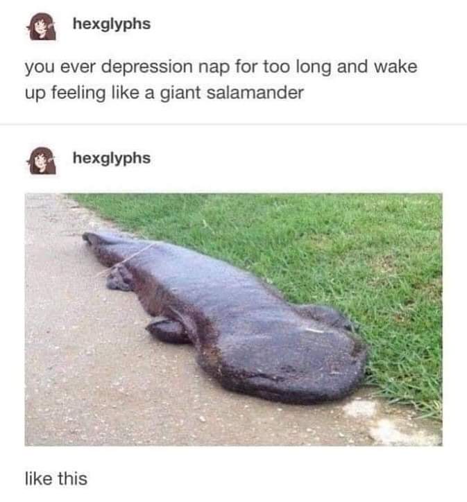 You ever depression nap for too long and wake up feeling like a giant salamander