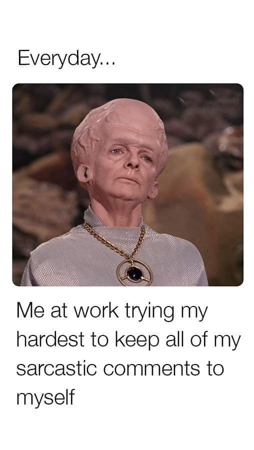 Everyday...
Me at work trying my hardest to keep all of my sarcastic comments to myself