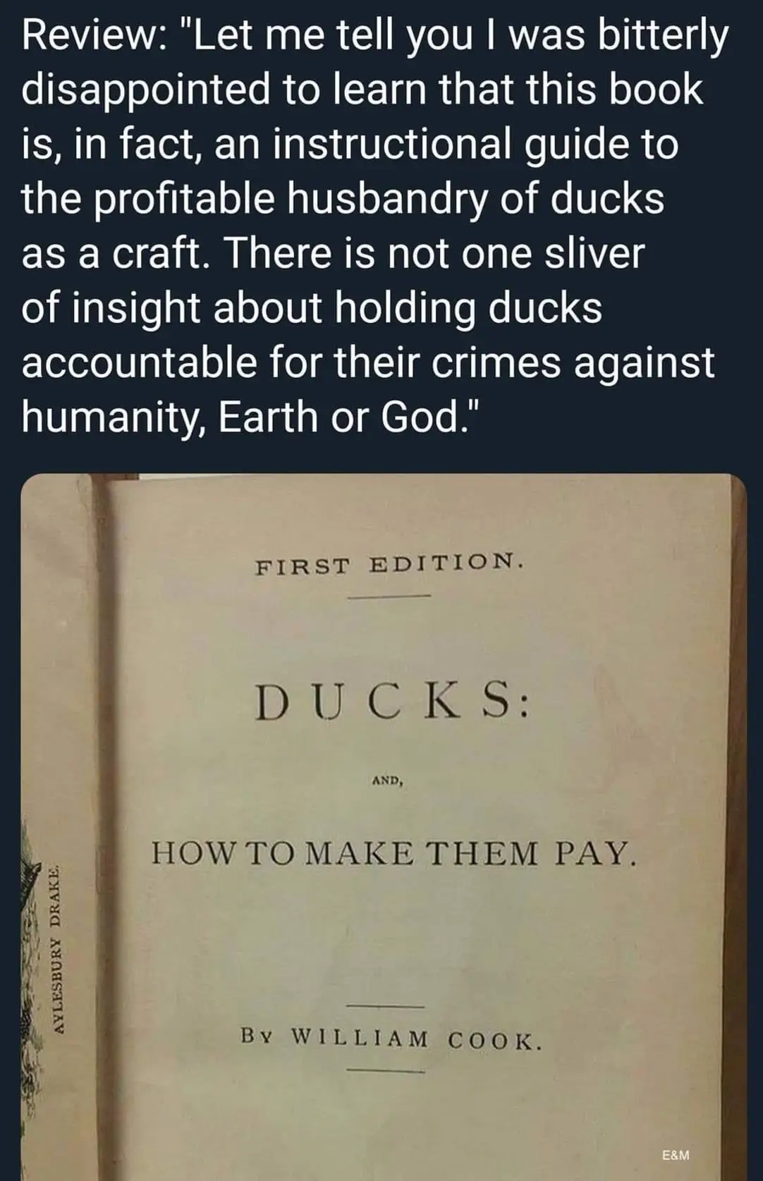 First Edition
Ducks: And How to make them pay
By William Cook

Review: Let ne tell you I was bitterly disappointed to learn that this book is in fact an instructional guide to the profitable husbandry of ducks as a craft, There is not one sliver of insight about holding ducks accountable for their crimes against humanity, earth or God.