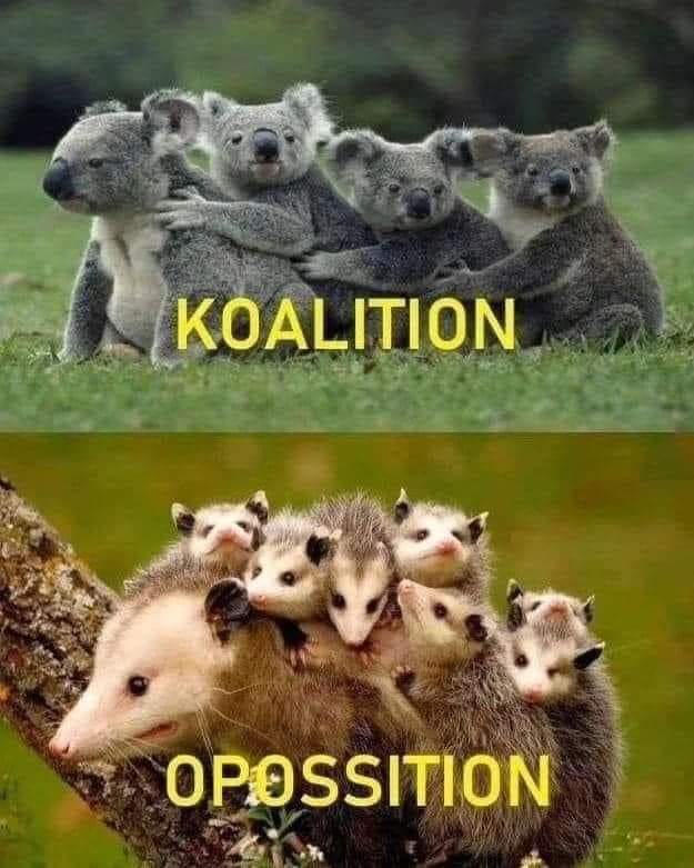 Koalition
Opossition