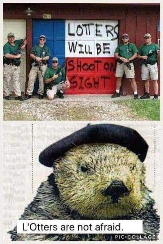 Lotters will be shoot on sight
L'Otters are not afraid
