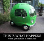 Fart In A Smart Car