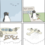 Pilot School