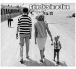 Genetics