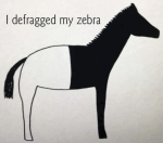 Zebra