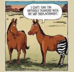 Hip Replacement