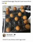 Egg Surprise: Who's Next?