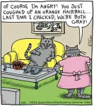 Hairball