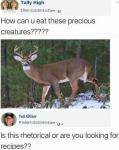 Venison Recipes?