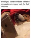 Meme Reaction