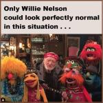Willie Nelson