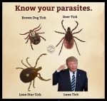 Parasites