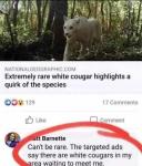 Online Ads vs. Nature