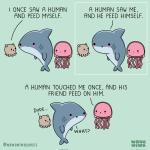 Unexpected Reactions