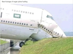 Vegan Plane