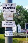 Mole Catcher