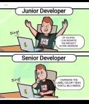 Developer
