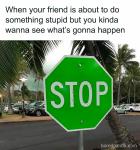 STOP?
