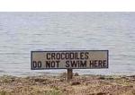 Crocodiles