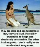 Kangaroos