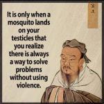Mosquito