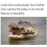 Croc