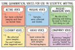 Creative Grammatical Voices in Science