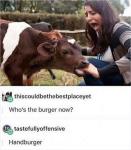 Handburger